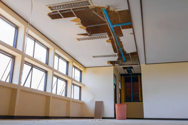 Best Water damage restoration process  in Five Corners, WA