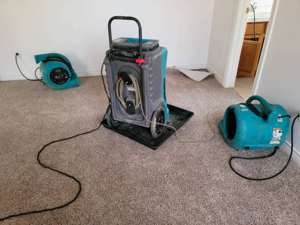 Best Water damage contractors near me  in Five Corners, WA