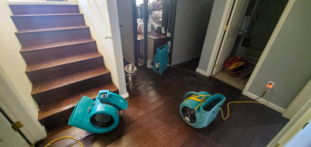 Best Water damage cleanup near me  in Five Corners, WA