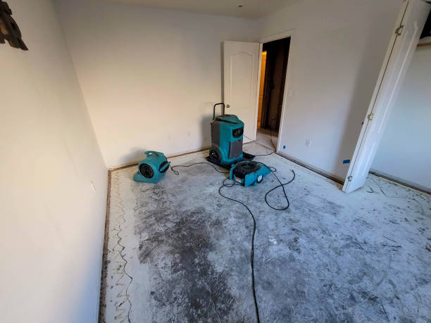 Trusted WA Water damage restoration Experts
