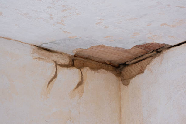 Best Sewage cleanup and water damage restoration  in Five Corners, WA