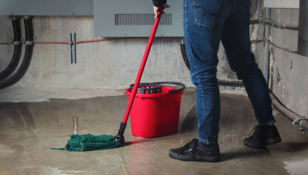 Best Water damage restoration near me  in Five Corners, WA