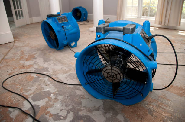 Best Flood restoration services  in Five Corners, WA