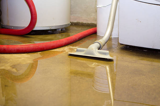 Best Water damage cleanup near me  in Five Corners, WA