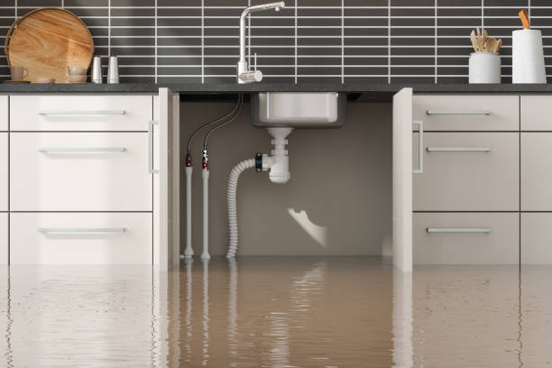  Five Corners, WA Water damage restoration Pros