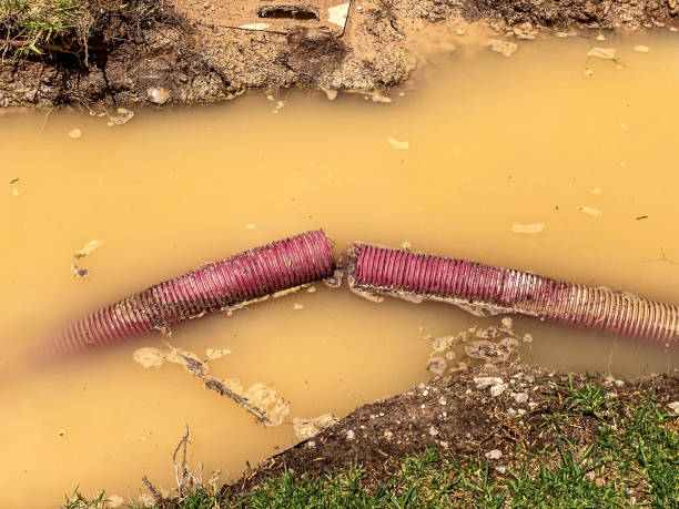 Best Basement water damage restoration  in Five Corners, WA