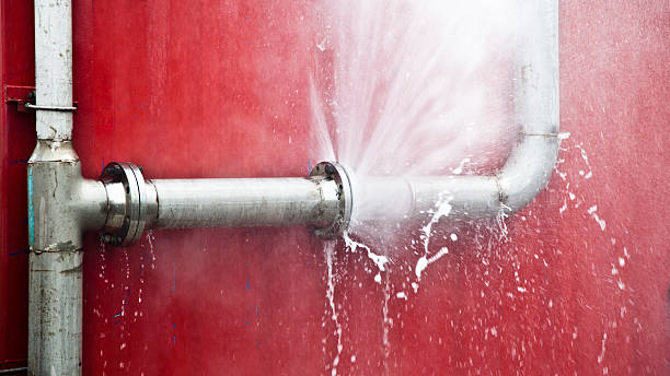 Best Carpet water damage restoration  in Five Corners, WA