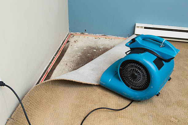 Best Flooded house restoration  in Five Corners, WA